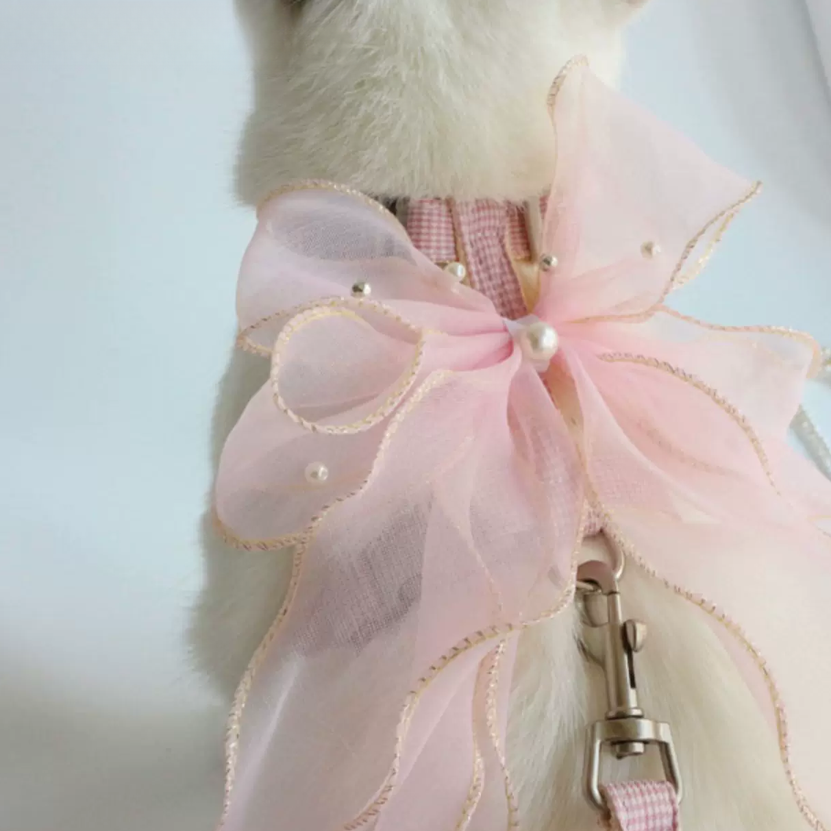 Princess Bow Pet Leash