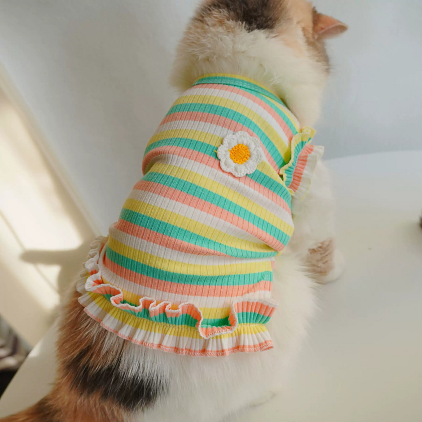 Spring&Summer Striped Cotton Lace Pet Vest