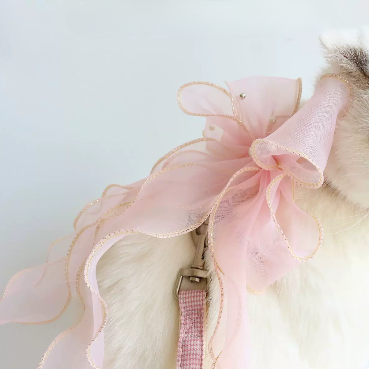 Princess Bow Pet Leash